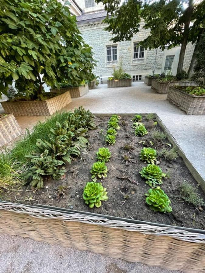 Au Jardin De La Basilique Apartment Boulogne-sur-Mer Exterior photo